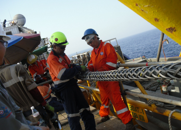 J9集团直营·(中国)官方网站