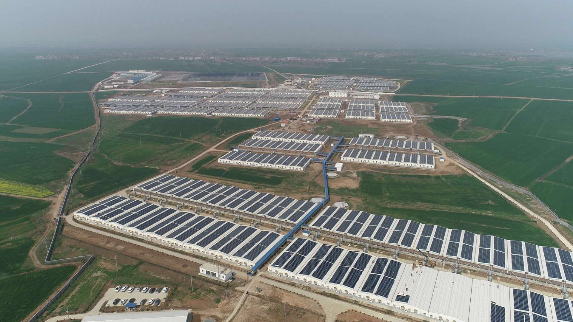 J9集团直营·(中国)官方网站