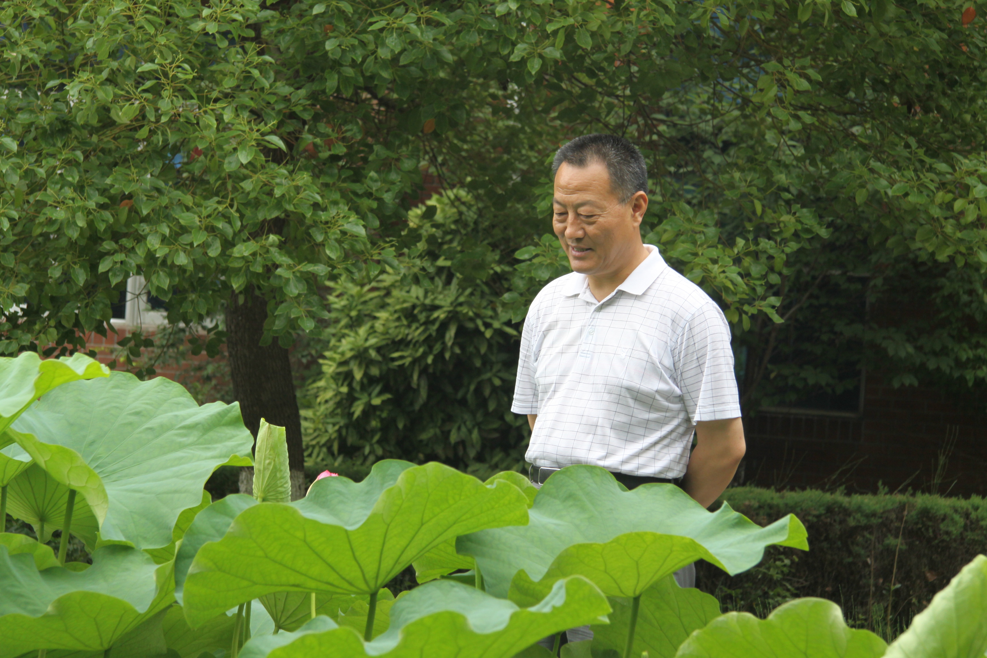 J9集团直营·(中国)官方网站