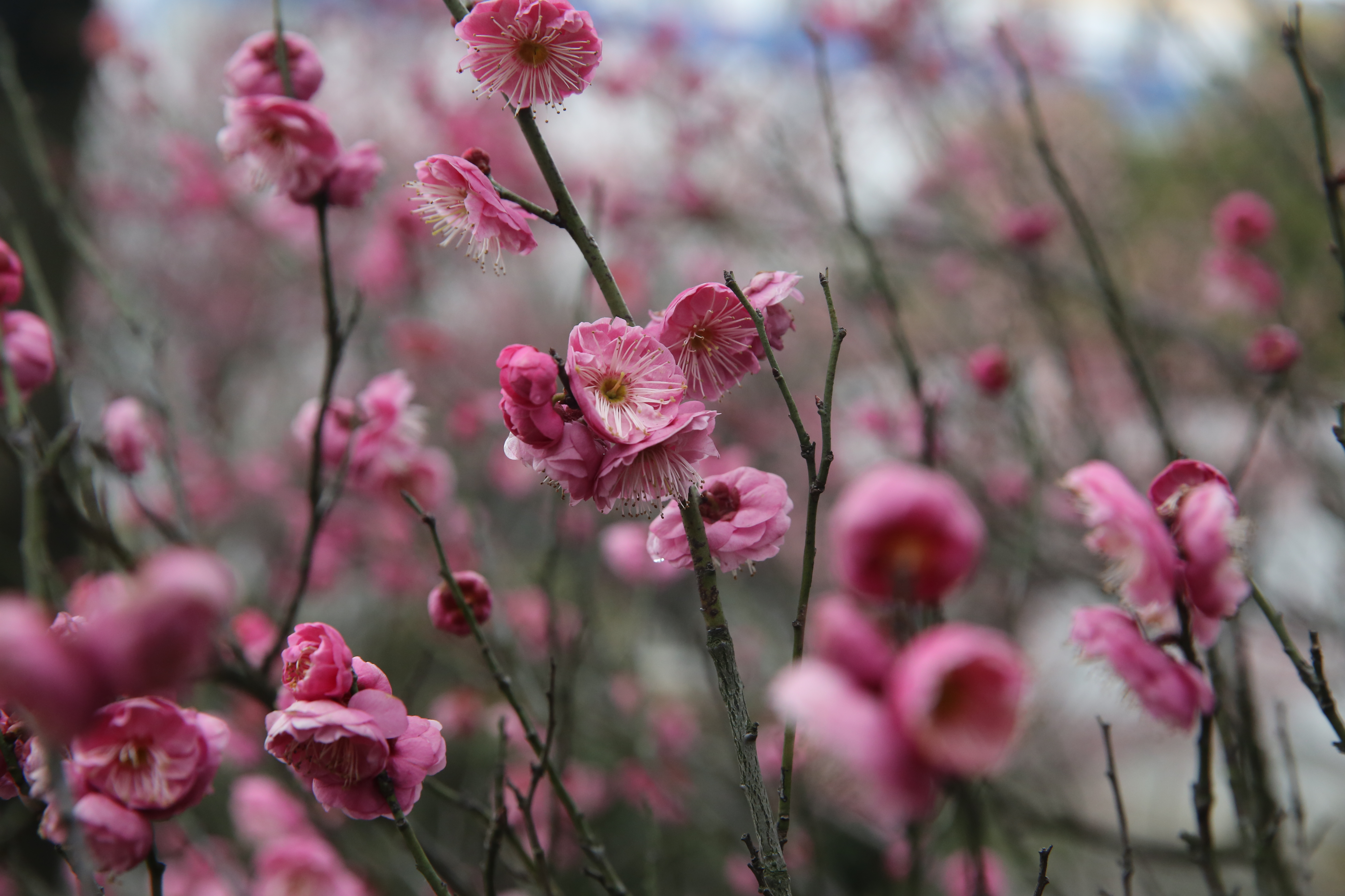 J9集团直营·(中国)官方网站