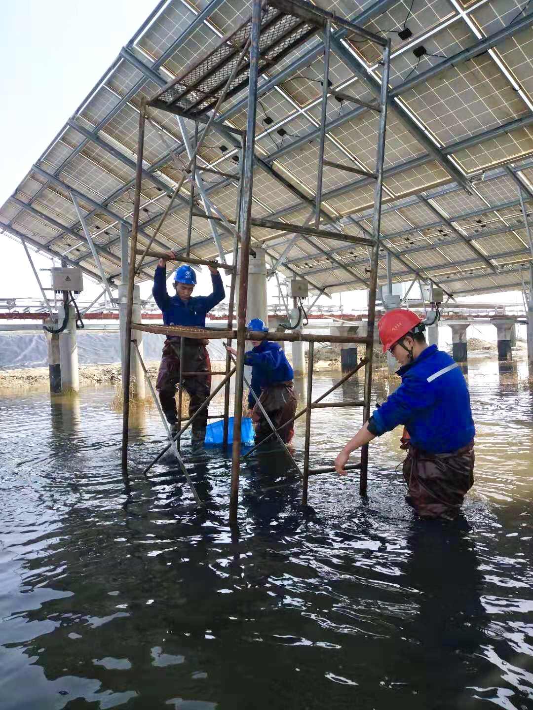 J9集团直营·(中国)官方网站