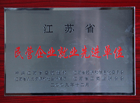 江苏省民营企业就业先进单元