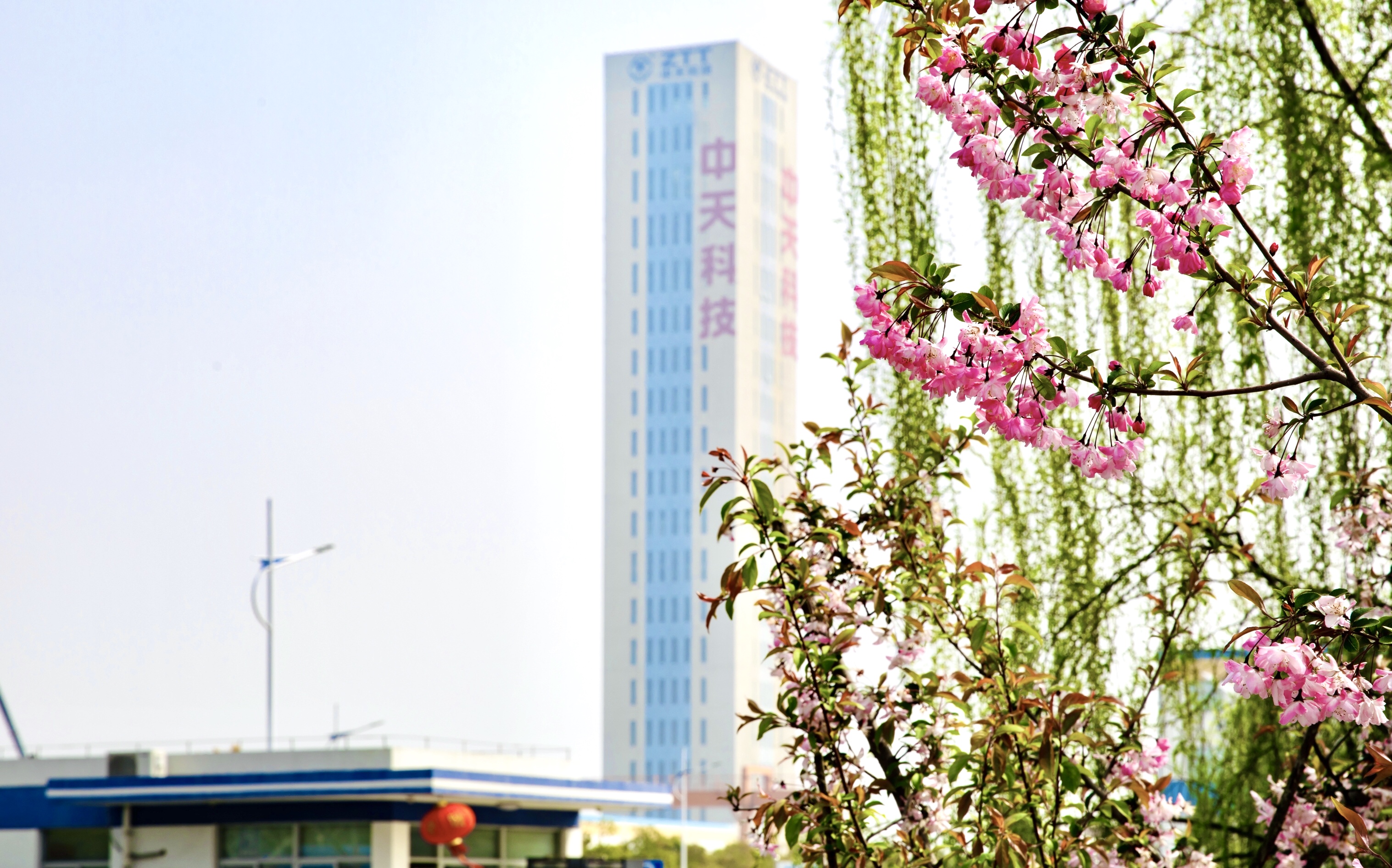 J9集团直营·(中国)官方网站