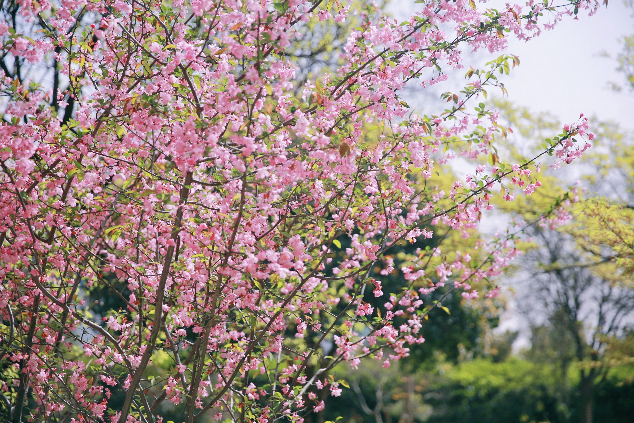 J9集团直营·(中国)官方网站